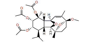 6-O-Methylmassileunicellin B